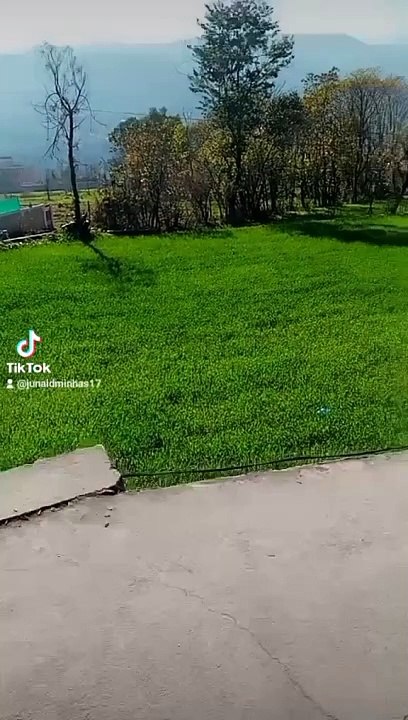 Green land