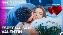 Todos Los Días Son El Día De San Valentín  - Amor Lógica Venganza