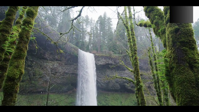 Relaxation/Calm/Peaceful/mindfulness meditation Music/Flute Soft Music/For Deep Sleep/Concerntration in work