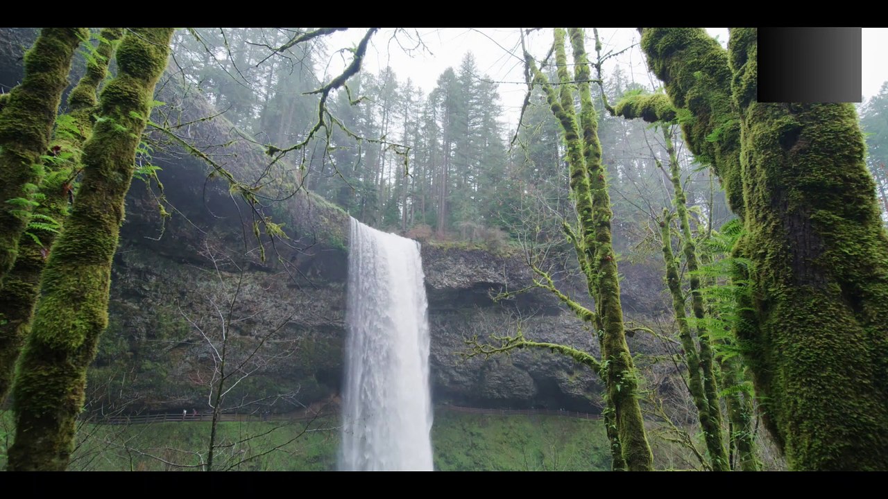 Relaxation/Calm/Peaceful/mindfulness meditation Music/Flute Soft Music/For Deep Sleep/Concerntration in work