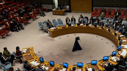 جلسة مفتوحة لمجلس الأمن بشأن اليمن والبحر الأحمر