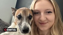 Moment 'talking' dog 'says owner's name' - leaving her delighted