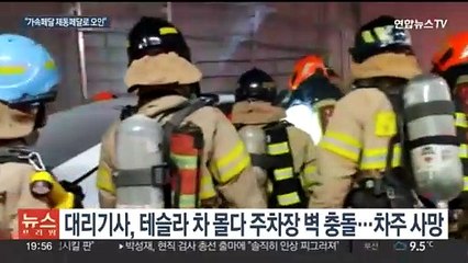 '테슬라 차주 사망사고' 대리기사 금고형…차량 결함 인정 안 돼