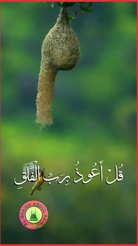 Recitation Of Surah Al-Falq..! Tilawat Qur'an...! #fyp #tilawah #koran #islam #trendingvideo #viralvideo #viralrecitation #100k #foryou #alshaikhabdulaziz #foryoupage