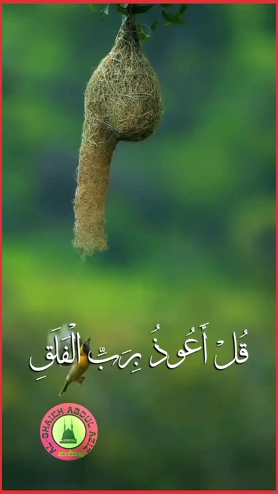 Recitation Of Surah Al-Falq..! Tilawat Qur'an...! #fyp  #tilawah #koran #islam #trendingvideo #viralvideo #viralrecitation #100k #foryou  #alshaikhabdulaziz #foryoupage