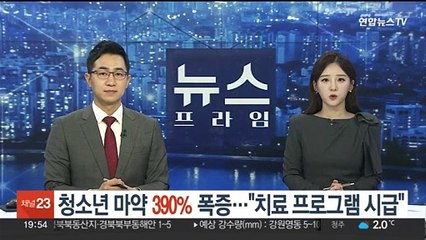 청소년 마약사범 폭증세…"치료 프로그램 시급"