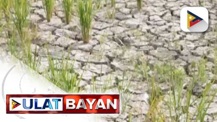 Matinding epekto ng El Niño mararanasan sa Marso, ayon sa PAGASA