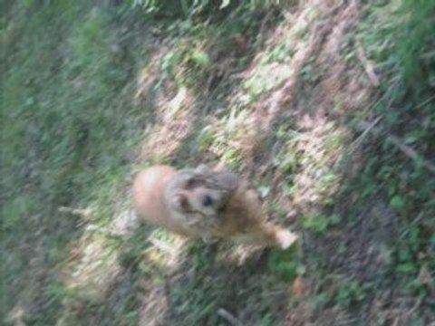 lool journée de malade