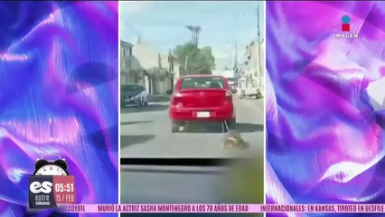 Hombre amarra a perro en un auto y lo arrastra por calles del Edoméx