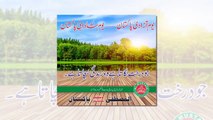Tarana Shadab e Pakistan : 14 Aug Youm Azadi Pakistan : Dr Zafar iqbal Noori : Al Mustafa Welfare Society Pakistan