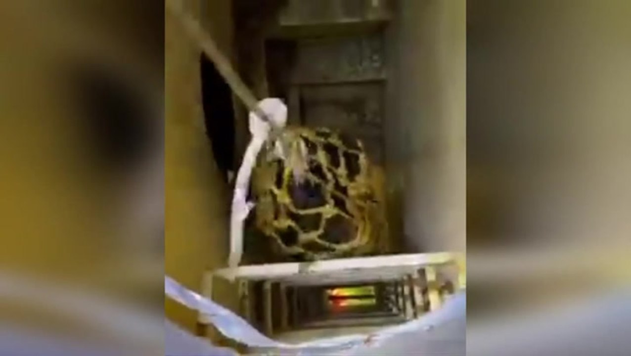 Police seize 2.3 tonnes of cocaine and free eight hostages in dramatic rescue off Canary Islands