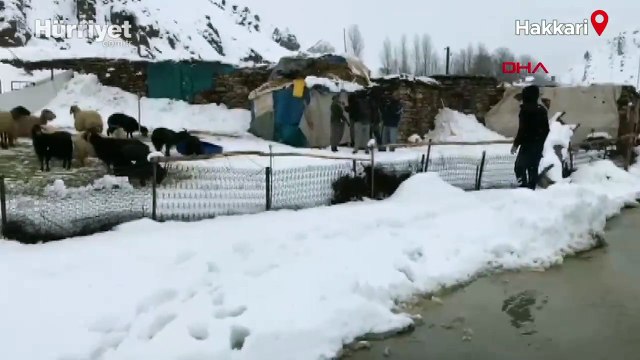Hakkari'nin Yüksekova ilçesinde köy yolunda heyelan: 4 kişi son anda kurtuldu