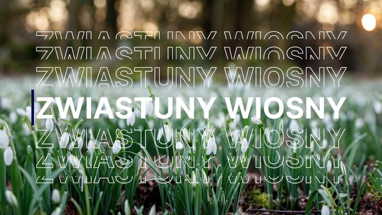 Zwiastuny wiosny