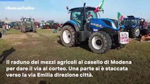 La protesta dei trattori: 300 quelli giunti a Modena. Il video