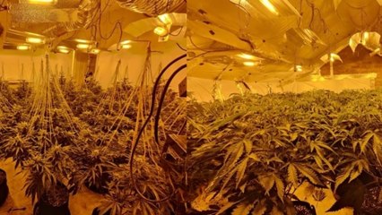 Birmingham headlines 15 February: Drugs recovered following operation in Washwood Heath