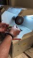 Le savais-tu ⁉️Voici comment repolir un bracelet Rolex poli miroir