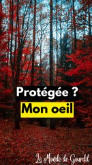 Les zones protégées sont-elles protégées ?