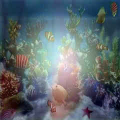 Bubble Guppies S03E04 The Super Ballet Bowl