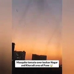 tornados de mosquitos