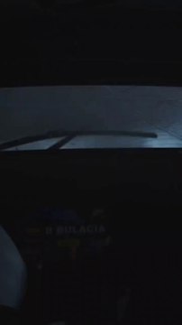 WRC 3 Sweden 2024 Shakedown Bulacia Huge Crash Rolls Onboard