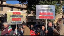 Protesta dei trattori al Circo Massimo: senza agricoltori no cibo sano