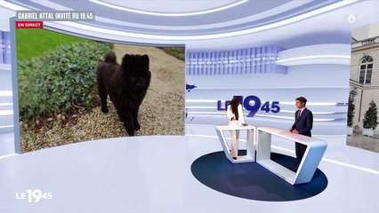 Gabriel Attal évoque sa soirée de Saint-Valentin sur le plateau du 19.45 sur M6