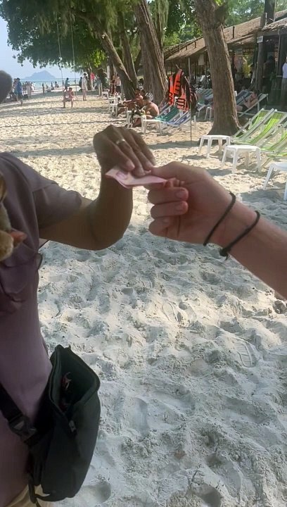 Loris Adorably Takes Cash