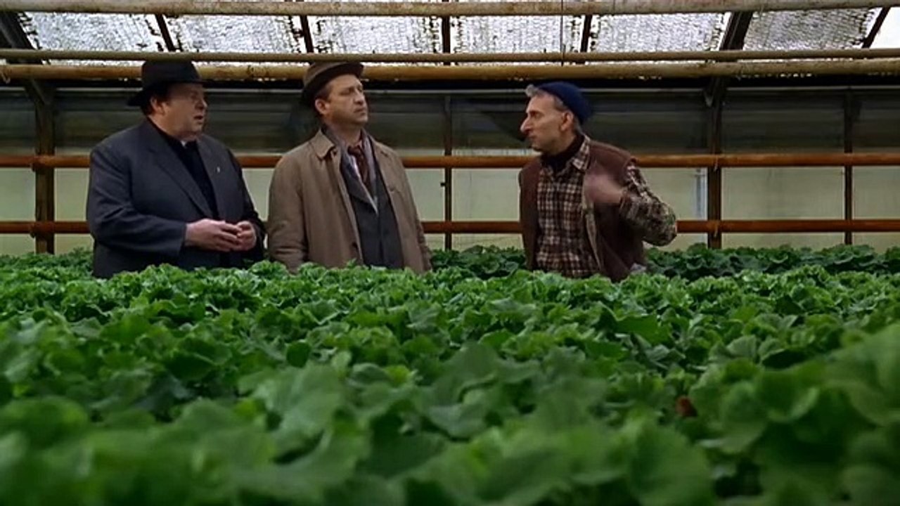 Pfarrer Braun E13-Die Gärten des Rabbiners