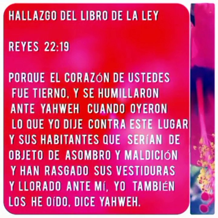 LOS DESIGNIOS DEL CORAZÓN|3
