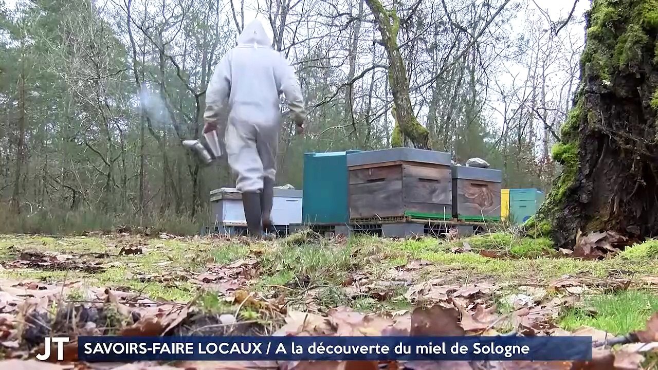 SAVOIRS-FAIRE LOCAUX / À la découverte du miel de Sologne