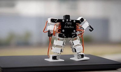 ابتكار أصغر روبوت بشري في العالم