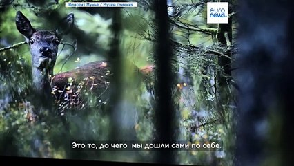 Винсент Мунье: дикая природа вблизи