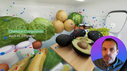 Shelfy, il cibo si conserva meglio in maniera smart: la prova