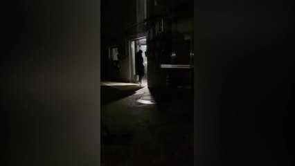 한밤중 서울 서초동 일부 가구 정전..."고양이가 원인" / YTN