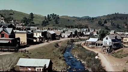 Sora. Ejemplo 2 (gold-rush)