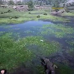 المقاومة والتحدي في حياة الحيوانات 🐾 كيف تتنافس للبقاء على قيد الحياة