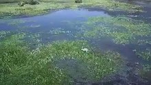 @الهروب والمقاوممةللبقاءعلى قيدالحياة