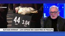 François Pupponi : «Seuls ceux qui ont les moyens vont pouvoir se nourrir normalement ou alors on doit faire en sorte que les prix baissent»