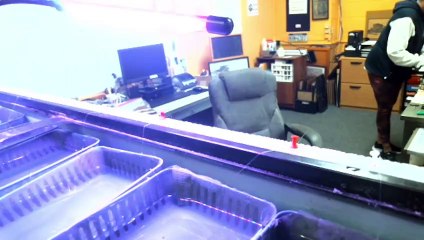 Counting Egg Shipment & Placing in Redds 01/10/2023