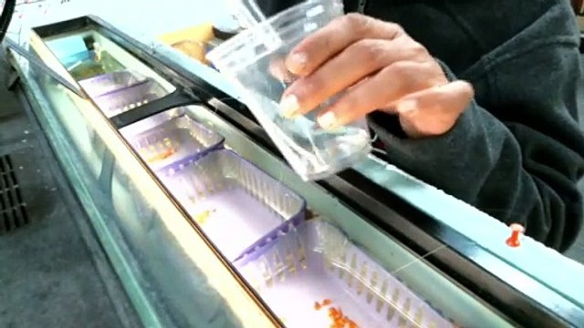 Cleaning the Eggshells and Checking for Dead 01/12/2023