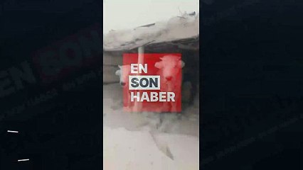 Karla kaplanan hayvanlar böyle görüntülendi