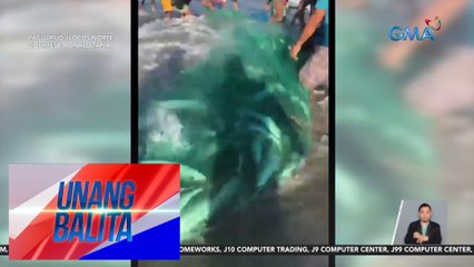 Halos 10 toneladang salmon, nahuli ng mga mangingisda | UB