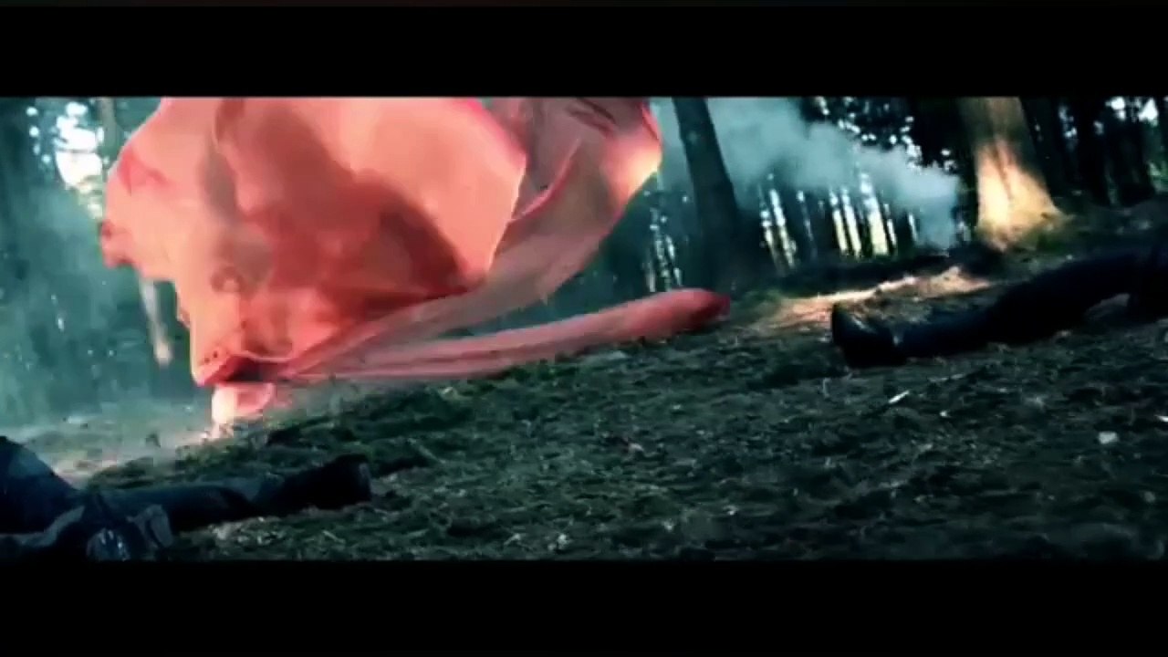 BIROL TARKAN YILDIZ - REELS