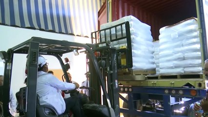 FALTA DE DOLARES AFECA PRODUCTORES SOYA