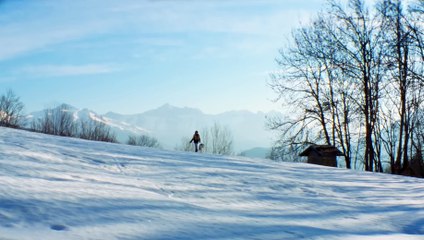 Anatomía de una Caída | movie | 2023 | Official Trailer