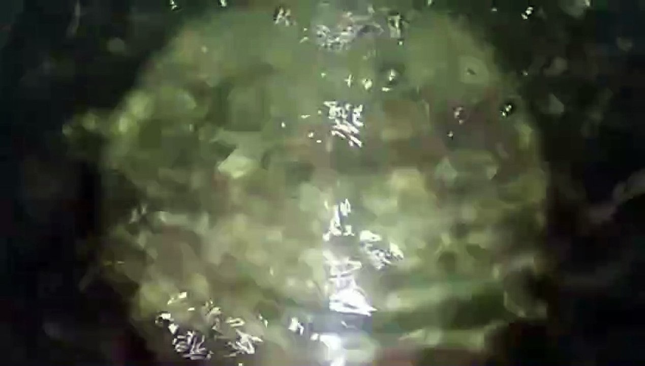 Water as the Source of Life 13