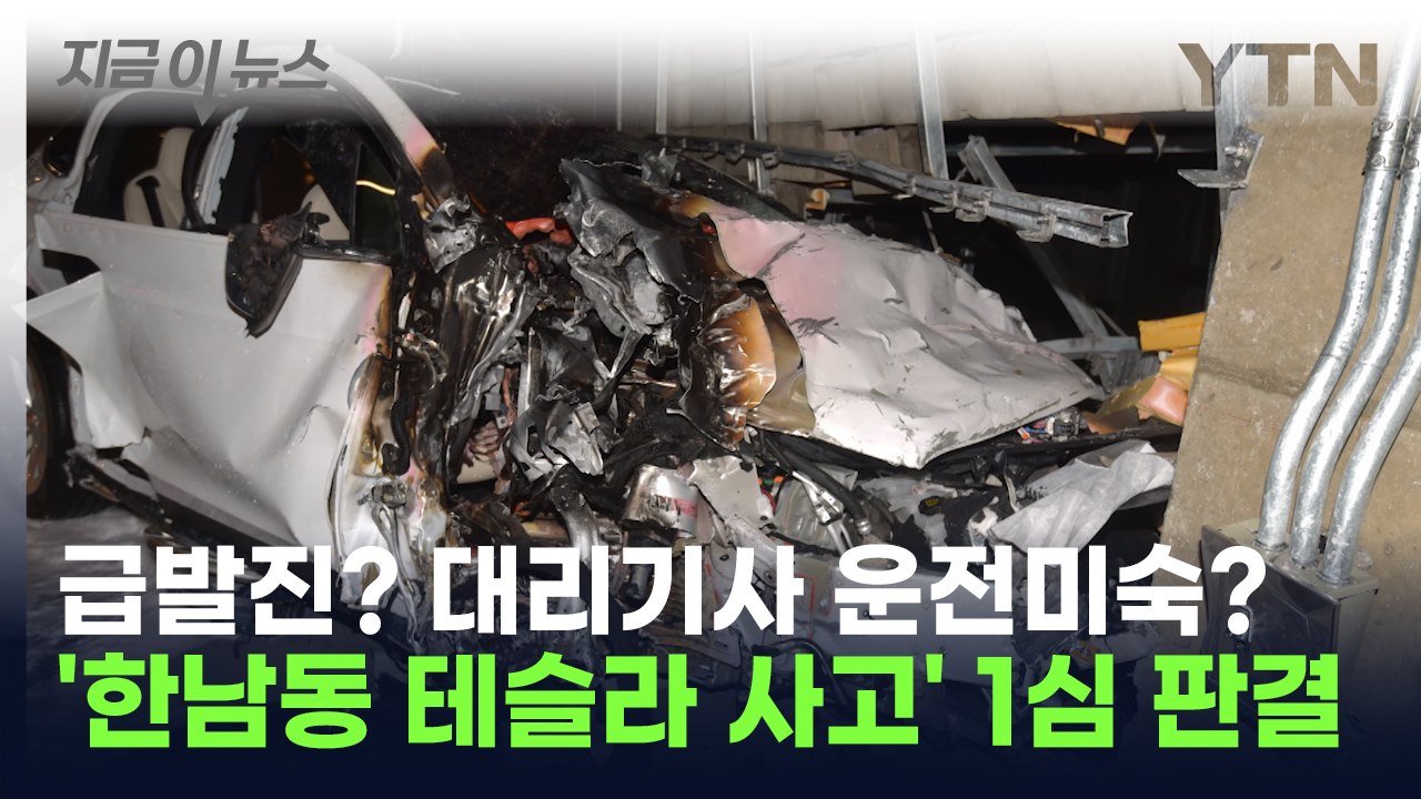 테슬라 차주 사망케한 대리기사에 내린 판결..."시속 95km로 들이받은 충격"[지금...