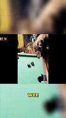 5 Fun Ways to Make Your Cat Say _Meow!_