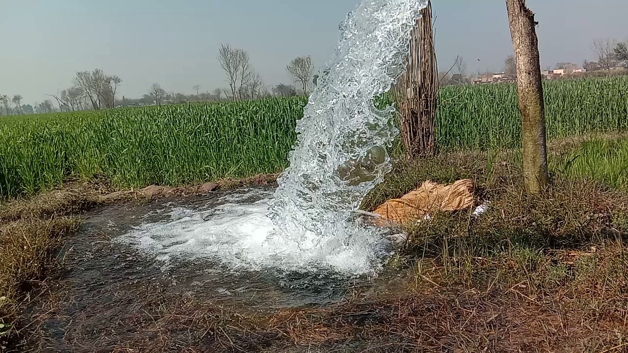 Village Life 