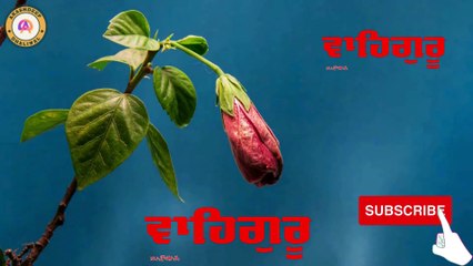 ਪੂਰਾ ਸ਼ਬਦ ਸੁਣਨ ਨਾਲ ਅਜਿਹੀ ਕ੍ਰਿਪਾ ਹੋਵੇਗੀ ਵਿਗੜੇ ਕੰਮ ਬਣ ਜਾਣਗੇ ਕਿਰਪਾ ਹੋਵੇਗੀ I New Gurbani Shabad 